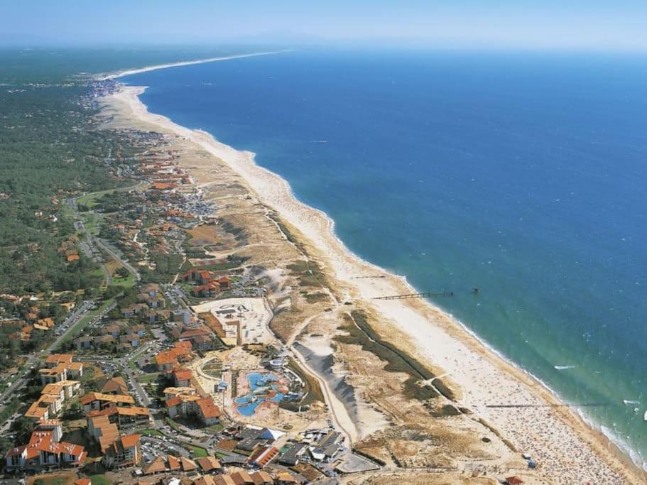 Dune Blanche 300 M De L'Ocean, Appartement Neuf 6 Personnes Seignosse Eksteriør bilde